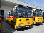 (266'346) - Bachmann, Nieder�nz - Nr.