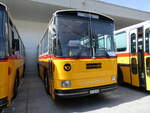 (266'429) - Inkamp, Altendorf - SZ 102'180 - Saurer/T�scher (ex Koch, Giswil; ex Selfors, Meiringen PID 3463; ex P 24'236) am 31.