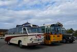 (268'735) - Aus der Schweiz: Ballestraz, Gr�ne - VS 11'615 - Saurer/Saurer (ex Girardet, Yverdon) am 27.