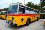(279'085) - G�hwiler, Birmensdorf - ZH 311'480 - Saurer/T�scher (ex AVG Grindelwald Nr.