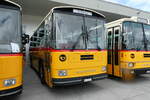 (279'664) - Schmid, Th�rishaus - BE 20'206 - Saurer/T�scher (ex P 24'244) am 30.