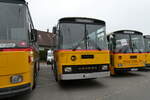 (281'349) - Oldtimer Club Saurer, Arbon - TG 95'083 - Saurer/T�scher (ex Schwizer, Goldach Nr.