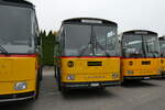 (281'352) - L�tscher, Haldenstein - GR 847 U - Saurer/T�scher (ex Overney, Bern; ex Autopostale, Croglio PID 3158; ex Monti, Cademario Nr.