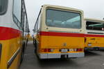 (281'371) - Ruklic, Schaffhausen - SH 17'473 - Saurer/T�scher (ex Schett, Sargans PID 2762) am 12.