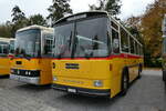 (281'413) - L�tscher, Haldenstein - GR 30'758 - Saurer/R&J (ex Dornbierer, Tahl; ex FRAM Drachten/NL Nr.