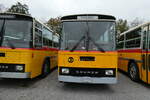 (281'425) - Ruklic, Schaffhausen - SH 17'473 - Saurer/T�scher (ex Schett, Sargans PID 2762) am 12.