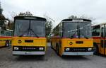 (281'427) - Oldtimer Club Saurer, Arbon - TG 95'083 - Saurer/T�scher (ex Schwizer, Goldach Nr. 2) + Ruklic, Schaffhausen - SH 17'473 - Saurer/T�scher (ex Schett, Sargans PID 2762) am 12. Oktober 2025 in Hitzkirch, Interkantonale Polizeischule