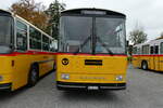 (281'431) - Ackermann, Landquart - GR 106'362 - Saurer/R&J (ex F�ssler, Unteriberg; ex Sch�rch, Gutenburg Nr. 6; ex P 24'358/PID 3219) am 12. Oktober 2025 in Hitzkirch, Interkantonale Polizeischule