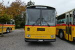 (281'432) - L�tscher, Haldenstein - GR 847 U  Saurer, T�scher (ex Overney, Bern; ex Autopostale, Croglio PID 3158; ex Monti, Cademario Nr.