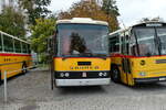 (281'446) - Stolz, Niederb�ren - SG 452'875 - Saurer/R&J (ex Soltermann, Bichwil; ex Ziegler, Pratteln; ex Tanner, Bubendorf; ex Schnider, Sch�pfheim) am 12.