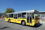 (286'088) - K�ng, Schaffhausen - SH 48'096 - Saurer/Hess (ex Wanner, Schleitheim; ex Ruklic, Schaffhausen; ex VBSH Schaffhausen Nr.