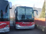(213'791) - M�chler, Siebnen - SZ 5050 - Mercedes am 12.