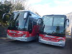 (213'792) - M�chler, Siebnen - SZ 5101 + SZ 5050 - Mercedes am 12.