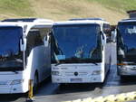 (260'484) - Aus Polen: Raf Trans, Warszawa - WN 5576G - Mercedes am 19.