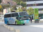 (210'647) - Ruffiner, Turtmann - VS 332'566 - Neoplan (ex Nr.