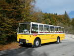 (256'485) - Aus Deutschland: Hahn, M�nchen - M-MM 668H - FBW/FHS (ex Michels, Schmallenberg; ex FRAM Drachten/NL Nr.