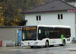(242'699) - ABl Biasca - Nr.