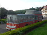 (211'734) - Ulrich, Nuevo Arenal - FBW/Vetter-R&J anderthalbdecker (ex Wespe, CH-Altst�tten; ex AFA Adelboden/CH Nr.