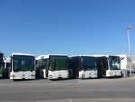 (217'478) - Interbus, Yverdon - Nr.