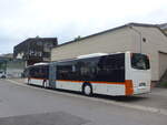 (225'769) - Bamert, Wollerau - SZ 79'922 - Neoplan (ex VBZ Z�rich Nr.