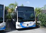 (274'457) - BOGG Wangen b.O.