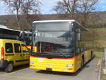 (214'288) - CarPostal Ouest - (JU 1925) - MAN/G�ppel (ex Sticki, Porrentruy Nr.