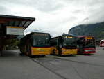 (240'246) - Fl�ck, Brienz - Nr.