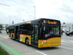 (239'513) - H�fliger, Sursee - Nr.