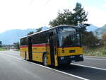 (239'941) - Oser, B�rchen - VS 93'575 - NAW/Lauber (ex Epiney, Ayer) am 4. September 2022 in Charrat, Rastplatz Pierre Avoi