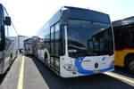 (278'767) - BOGG Wangen b.O.