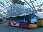 (213'273) - PostAuto Graub�nden - GR 162'990 - MAN am 1.