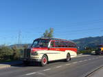 (198'173) - R�llin, Hirzel - SZ 60'708 - FBW/FHS (ex Fl�ckiger, Rickenbach; ex Rieben, Aesch; ex Pfister, Th�rnen) am 13.