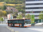 (210'658) - Ruffiner, Turtmann - VS 491'395 - Mercedes (ex Regiobus, Gossau Nr.