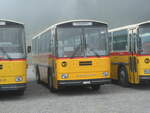 (239'774) - Schmid, Th�rishaus - BE 26'206 - Saurer/T�scher (ex P 24'244) am 28.