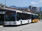 (276'828) - Schneider, Ermenswil - Nr.