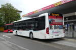 (278'002) - Schneider, Ermenswil - Nr.
