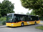 (276'227) - Schumacher, Metzerlen - Nr.