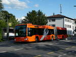 (238'038) - STI Thun - Nr.