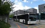(278'298) - Wieland, Murten - Nr.