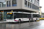 (284'930) - PostAuto Nordschweiz - AG 391'755/PID (ex Steffen, Remetschwil Nr.