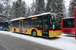 (283'950) - Steiner, Messen - SO 20'606/PID 12'036 - Mercedes am 10.