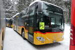 (283'953) - Steiner, Messen - SO 142'657/PID 12'054 - Mercedes am 10.