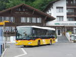 (195'009) - Fl�ck, Brienz - Nr.