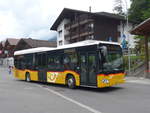 (195'012) - Fl�ck, Brienz - Nr.