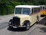 (207'470) - Steiner, Messen - SO 20'142 - Berna/Hess (ex B�rtschi, Biberen) am 7.
