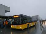 (258'196) - Steiner, Messen - SO 20'141/PID 10'017 - MAN am 6.