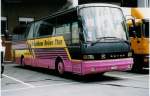 (035'317) - Straubhaar, Thun - BE 239'682 - Setra (ex M�ller, Uttigen) am 18.