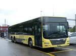 (262'173) - STI Thun - Nr.