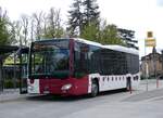 (274'076) - TPF Fribourg - Nr.