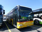 (262'277) - CarPostal Ouest - VD 239'731/PID 5719 - Mercedes (ex Faucherre, Moudon) am 11.